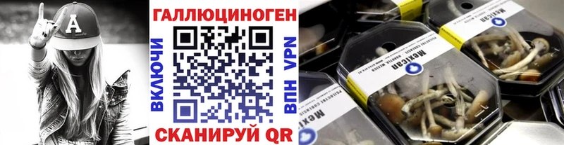 MEGA как зайти  купить  цена  Болгар  Псилоцибиновые грибы ЛСД 